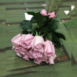 нежные розовые розы